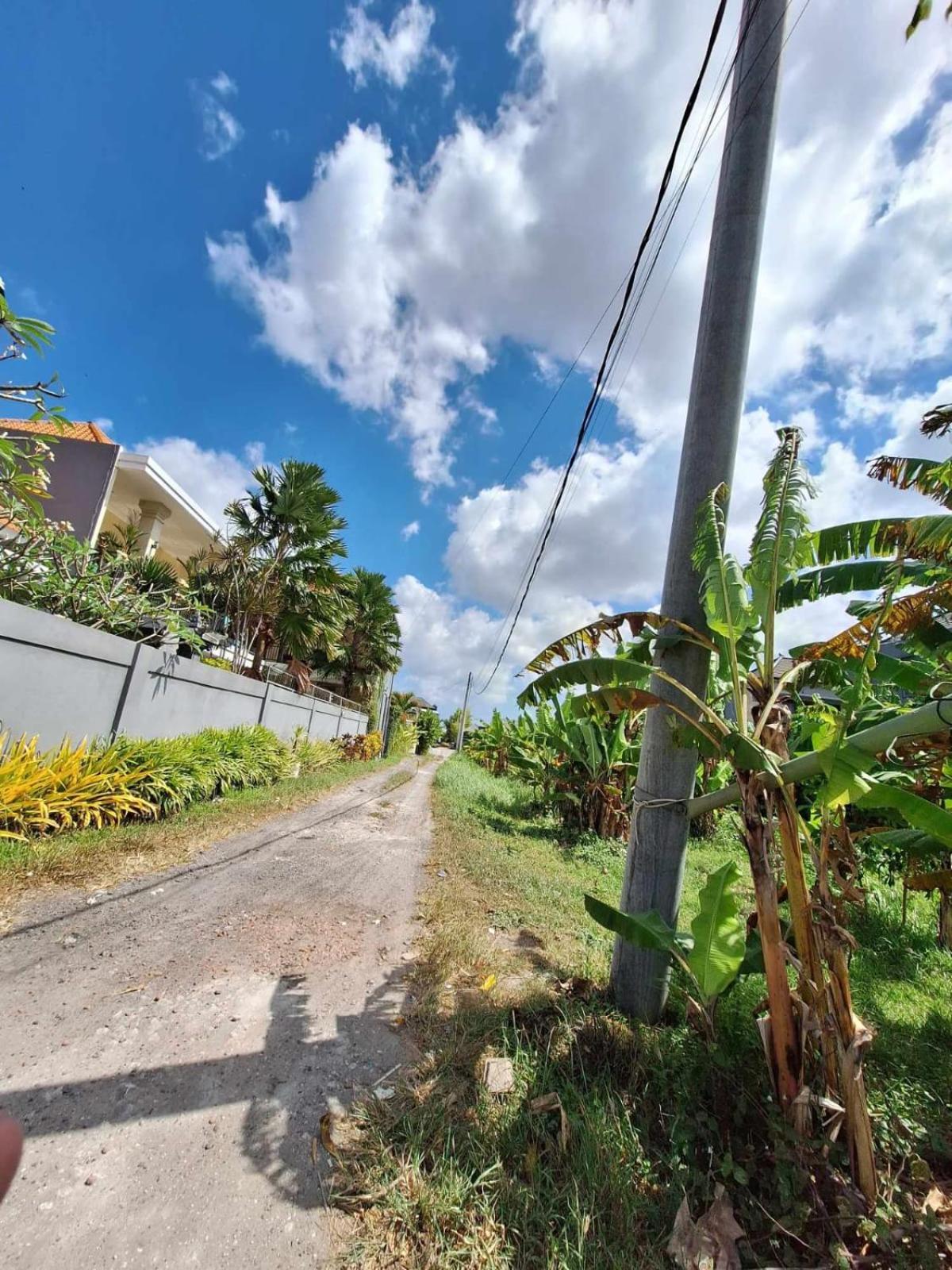 Bonewood Guesthouse Canggu Exterior foto