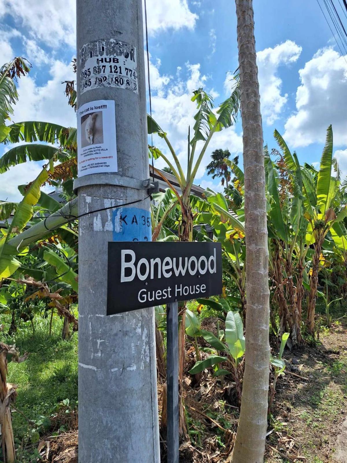Bonewood Guesthouse Canggu Exterior foto